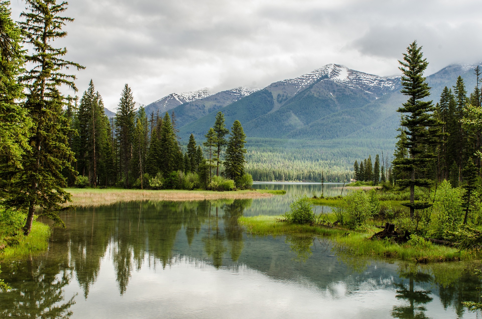 Serene picture of a stream leading away from a mountain range surrounded by trees. 